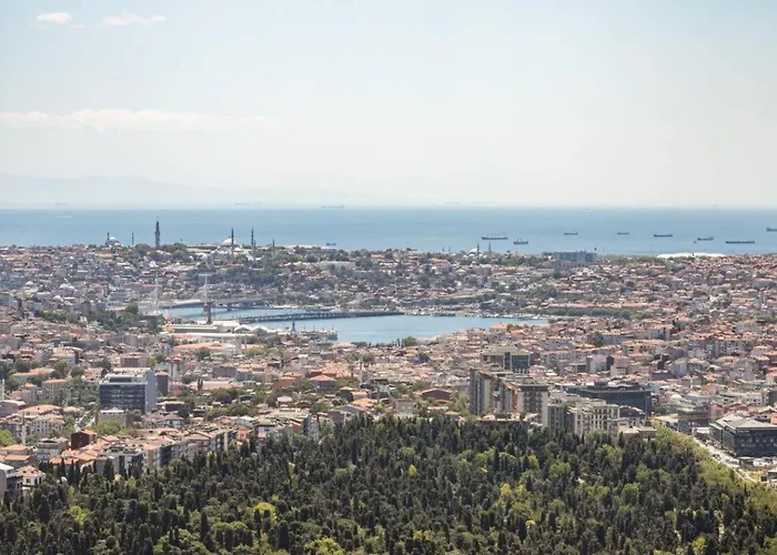 Gorgeous Bright Cool 1bd Views! #359 Istambul