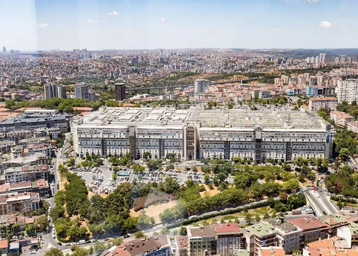 Gorgeous Bright Cool 1bd Views! #359