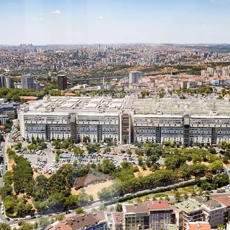 Gorgeous Bright Cool 1bd Views! #359